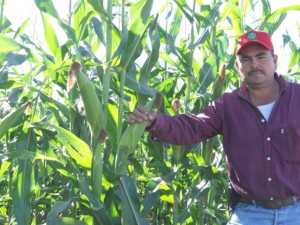Productor satisfecho con Eros