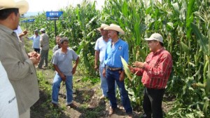 Productores y compradores de Eros