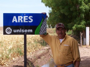 Cosecha de Ares en Sinaloa Cosecha de Ares en Sinaloa