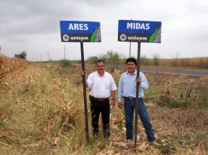 Cosecha de Ares y Midas en Sinaloa Cosecha de Ares y Midas en Sinaloa