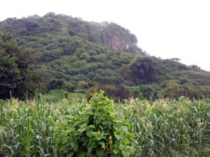 Milpa y lluvia