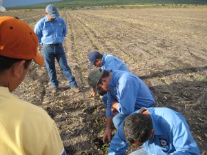 Taller de siembras El equipo de Unisem en un taller de siembras