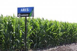 Ares, calidad en silo