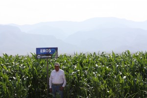 Eros en la Comarca Lagunera