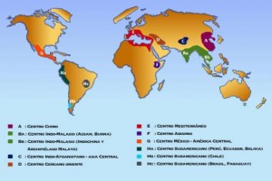 Centros de origen Vavilov
