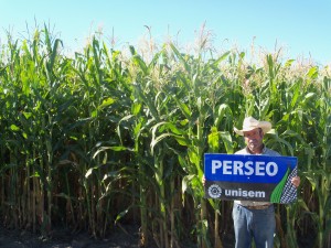 Lupe M. sembró Perseo, Hércules, Cronos, Ares Lupe M. sembró Perseo, Hércules, Cronos, Ares