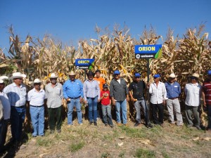 Productores de Miacatlan