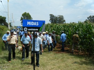 Evento en verde, Padem Tepatitlan, Alteños
