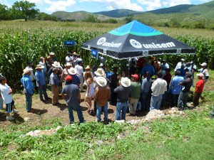 Día de campo en Yetla de Juárez, Oaxaca, México