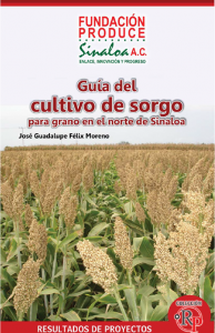 Guia del cultivo de sorgo FP Sinaloa portada