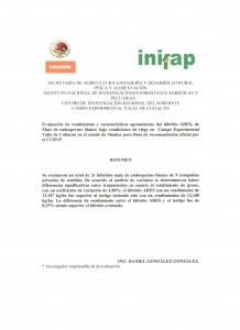 inifap sinaloa OI 11-12 Ares