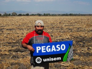 Benito Cabeza, El Tepetate, Pénjamo