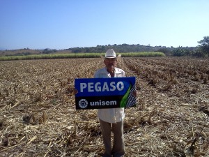 Don Sebastian Lopez Monroy, Santa Maria del Oro