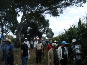 Evento en verde Jaquetas, 13102012 (14)