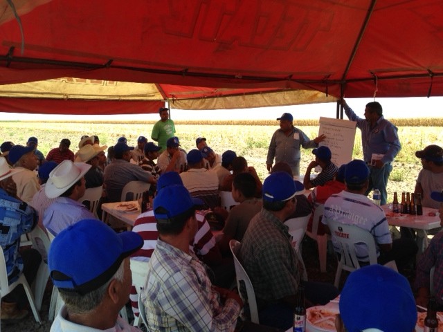 trillas en sinaloa (3)