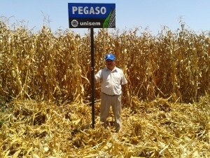 2013-04-26 12.04.46 (1)