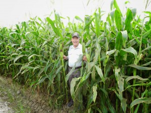 juvencio gutiérrez franco (2)