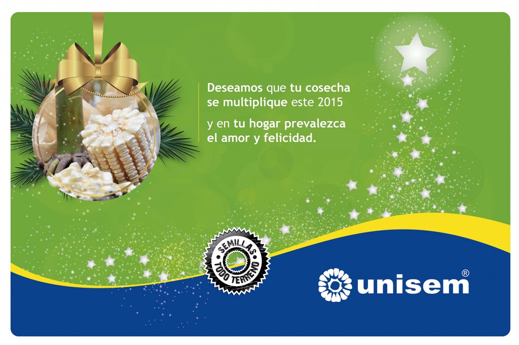NAVIDAD 2014 2
