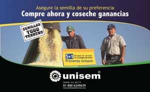 GRANO H mini para web