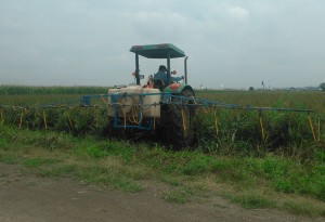 Aplicación de imidacloprid con tractor de alto despeje en sorgo afectado por pulgon amarillo Aplicación de imidacloprid con tractor de alto despeje en sorgo afectado por pulgon amarillo