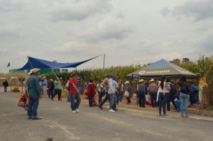 Expo 2015, día 4
