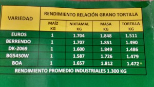 Euros rindió más en conversión a tortilla