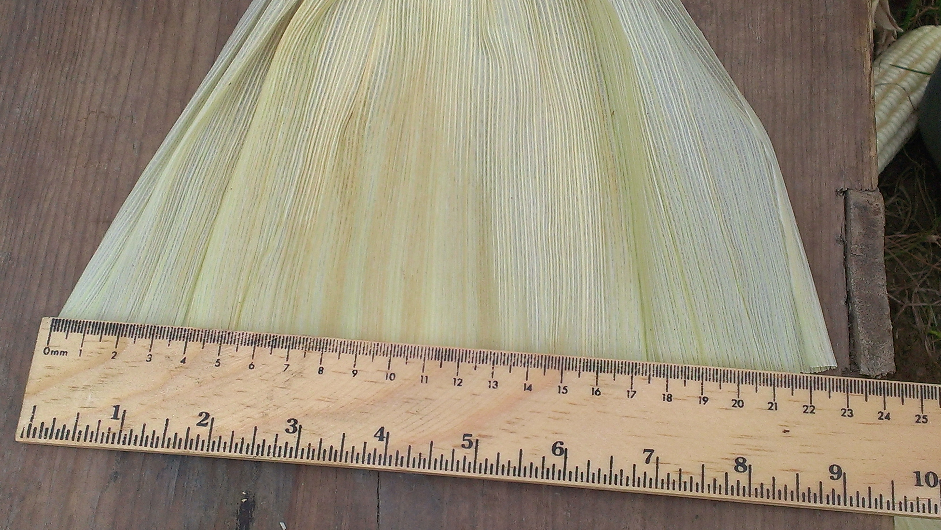 Híbrido Hojero para Tamal