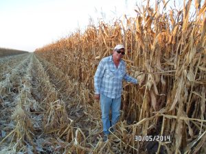 ing-mario-rivera-con-ares-a-altas-densidades-12-a-13-semillas-por-metro-a-la-siembra-los-mochis-sin-oi-2013-2014