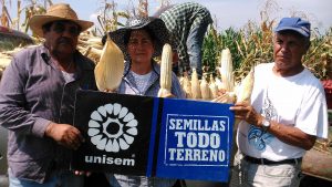 josefa-hernandez-lara-hojero